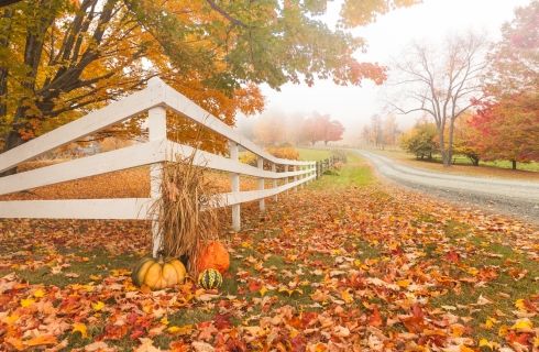 Best places to see the last fall foliage 